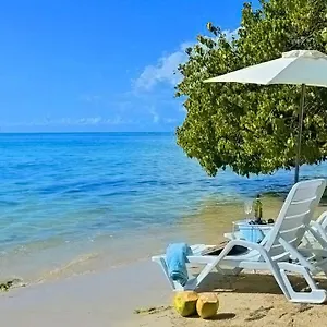  Homestay Champagne Jamaica